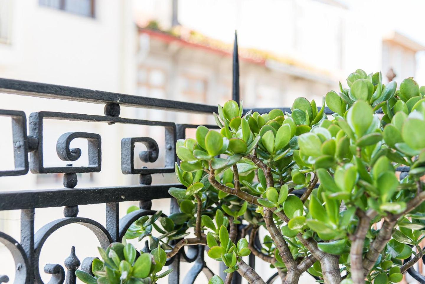 Appartamento Guestready - Cosy Living In Downtown OOporto Esterno foto